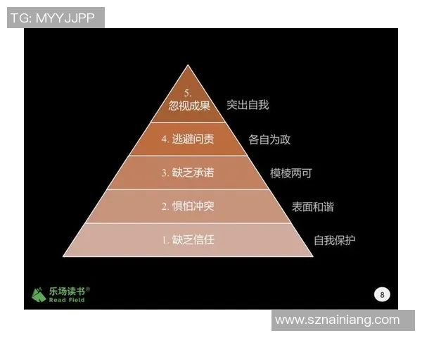 上海排球队的整体压制揭秘：深度解析排球战术与团队协作的完美结合
